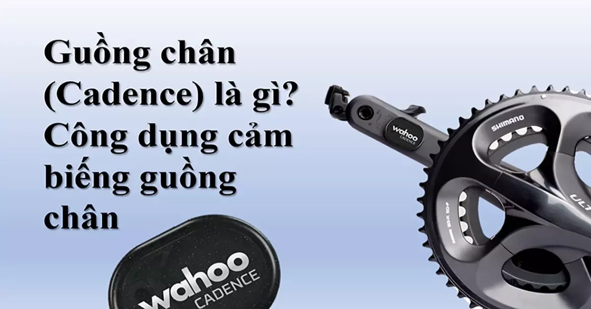 Guồng chân (Cadence) là gì? Công dụng cảm biến guồng chân