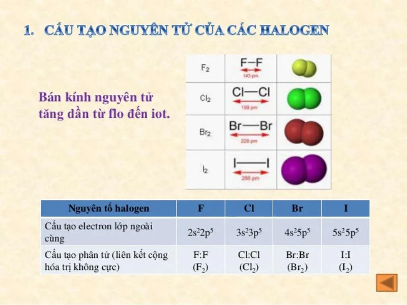 Halogen là gì? Tìm hiểu lý thuyết và bài tập nhóm halogen