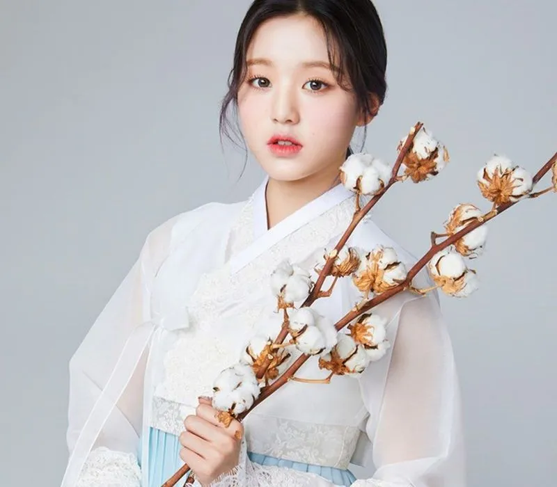 Hanbok Hàn Quốc là gì? Ra đời khi nào, có các loại nào và ý nghĩa của Hanbok