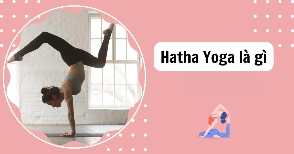 Hatha Yoga là gì? Lợi ích và các tư thế tập Hatha Yoga cơ bản