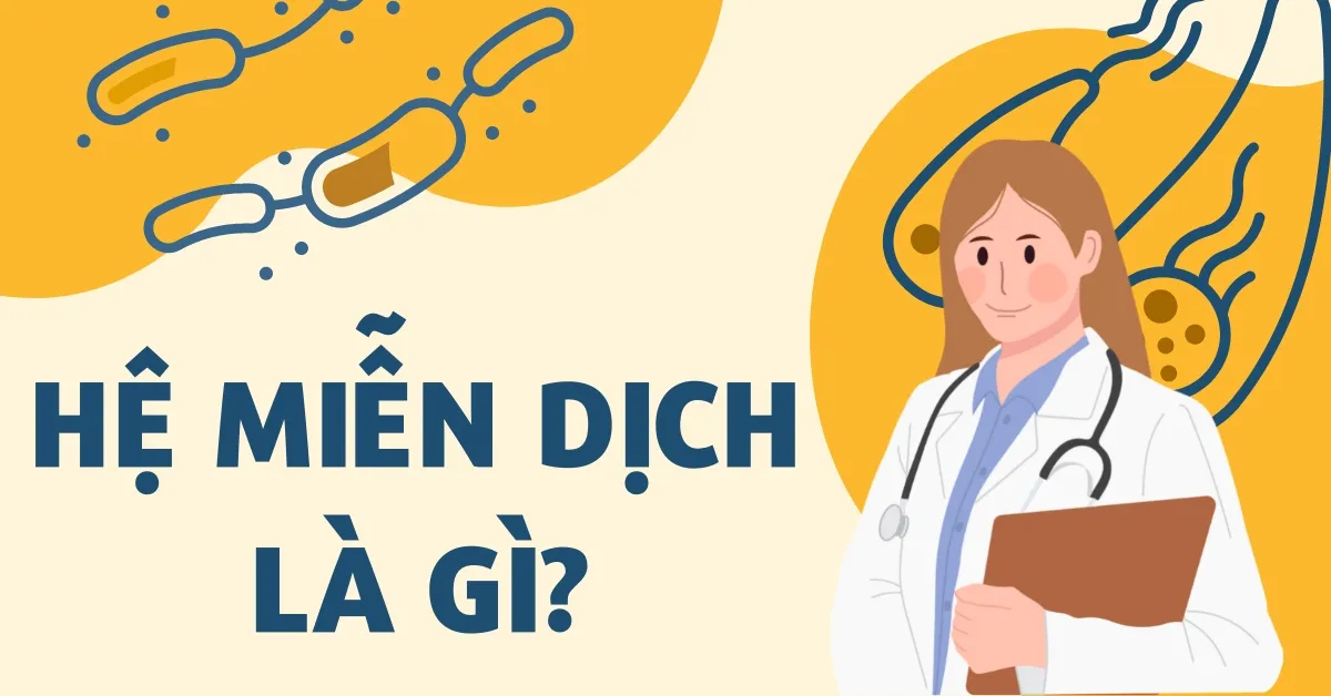 Hệ miễn dịch là gì? Tại sao hệ miễn dịch có vai trò quan trọng?