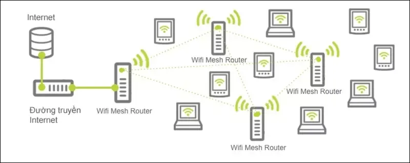 Hệ thống Wifi Mesh là gì? So sánh Wifi Mesh và bộ kích sóng Wifi