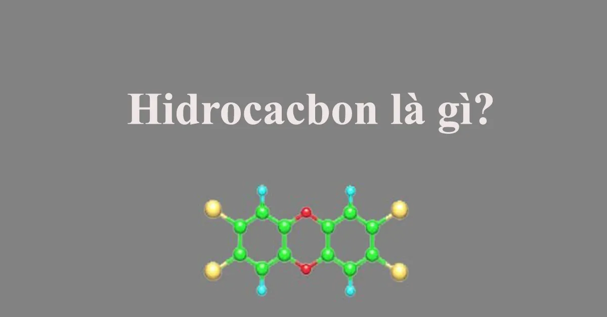 Hidrocacbon là gì? Tổng hợp kiến thức về hidrocacbon