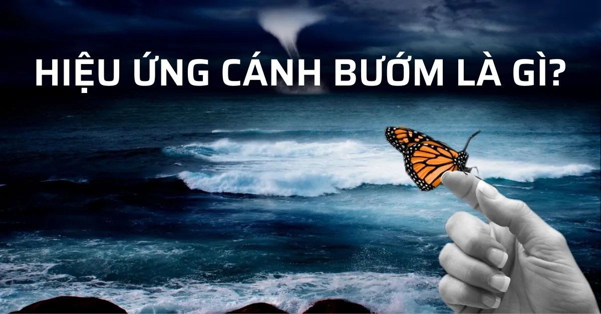 Hiệu ứng cánh bướm là gì? Ý nghĩa của hiệu ứng trong tâm lý học