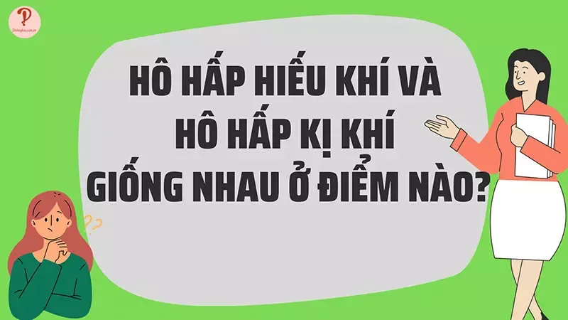 Hô hấp kị khí là gì? So sánh hô hấp hiếu khí và hô hấp kị khí