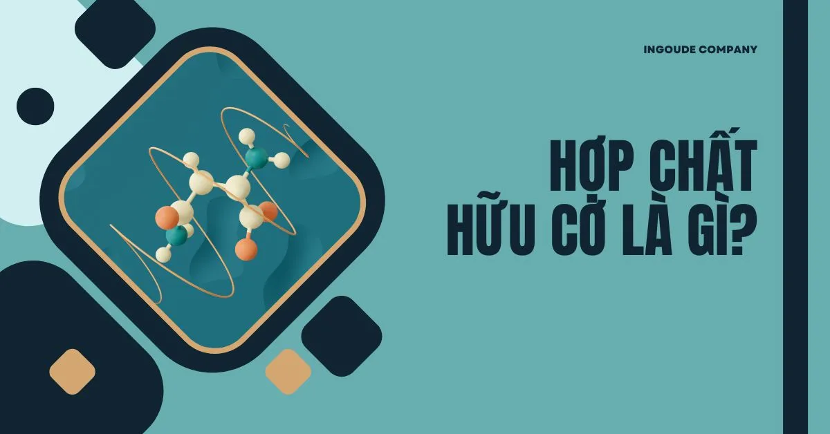 Hợp chất hữu cơ là gì? Phân loại, ứng dụng của hợp chất hữu cơ