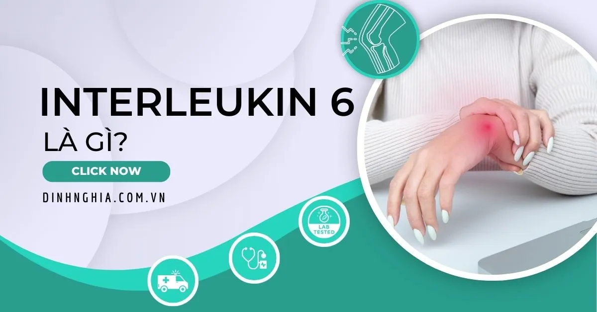 Interleukin 6 là gì? Có vai trò thế nào trong các phản ứng viêm?