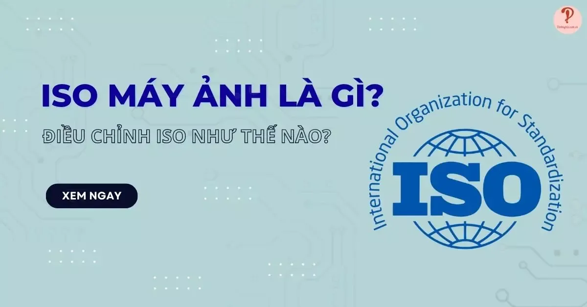 ISO máy ảnh là gì? Điều chỉnh ISO như thế nào để chụp ảnh đẹp