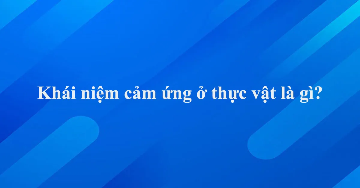 Khái niệm cảm ứng ở thực vật là gì?