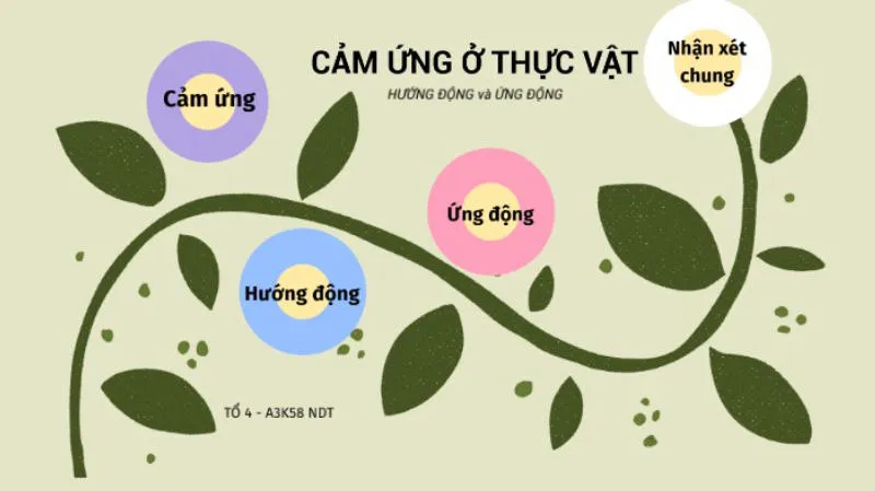 Khái niệm cảm ứng ở thực vật là gì?