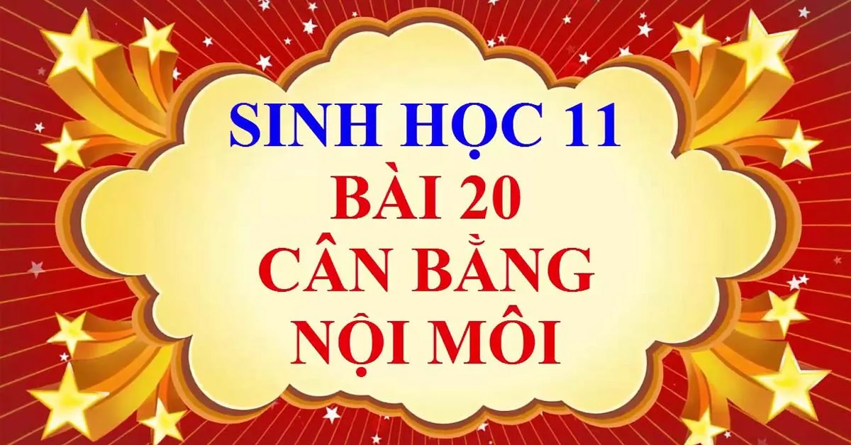 Khái niệm, ý nghĩa, vai trò của bài tiết và cân bằng nội môi