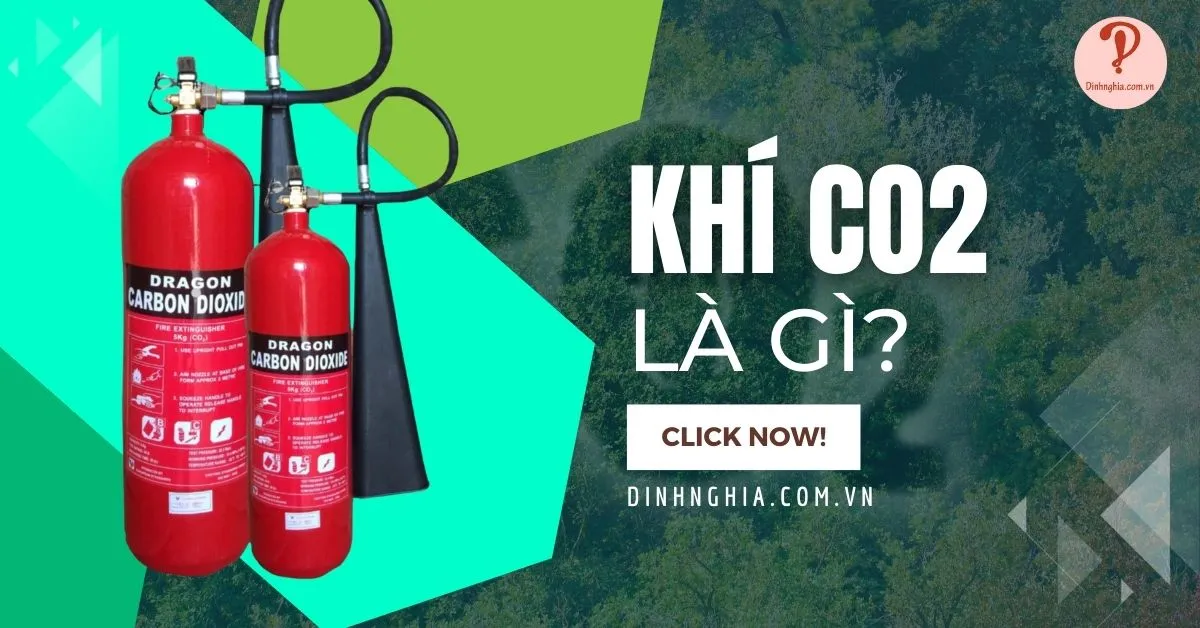 Khí CO2 là gì? Tính chất, nguồn gốc và ứng dụng Cacbon dioxit