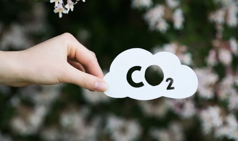 Khí CO2 là gì? Tính chất, nguồn gốc và ứng dụng Cacbon dioxit