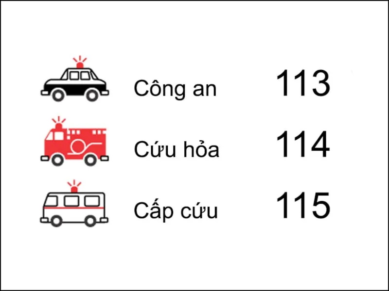 Kỹ năng sinh tồn là gì? 12 kỹ năng sinh tồn cho trẻ biết càng sớm càng tốt