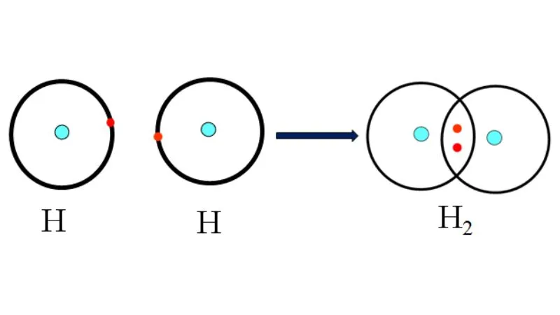 Liên kết cộng hóa trị là gì? Tổng hợp lý thuyết, bài tập liên quan