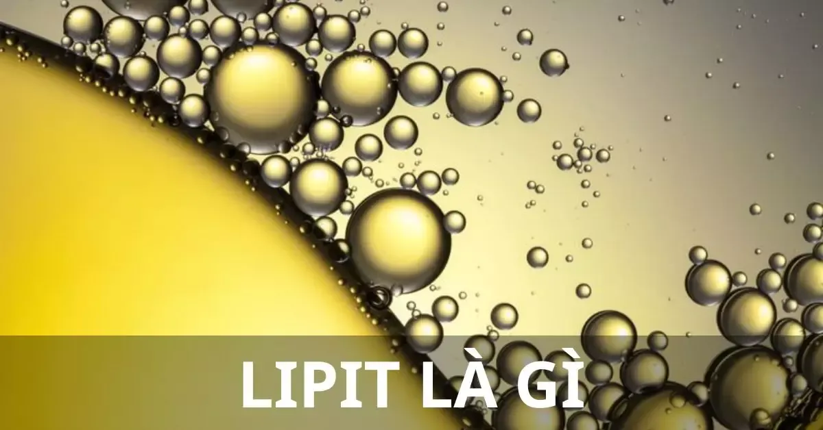 Lipit là gì? Vai trò, tầm quan trọng của Lipid đối với trẻ nhỏ