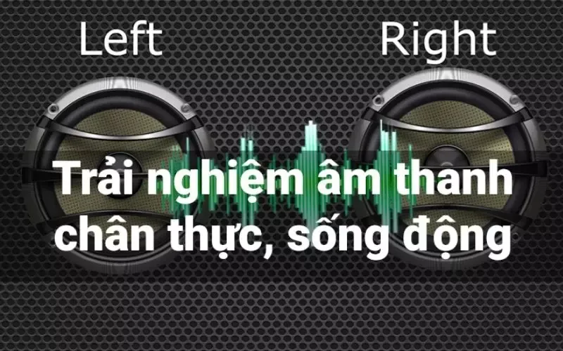 Loa kép là gì? Nguyên lý hoạt động, ưu nhược điểm cần biết