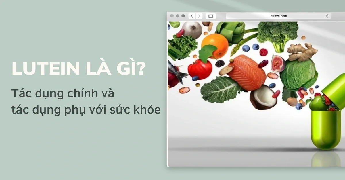 Lutein là gì? Tác dụng chính và tác dụng phụ đối với sức khỏe