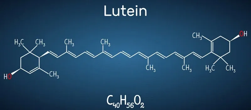 Lutein là gì? Tác dụng chính và tác dụng phụ đối với sức khỏe