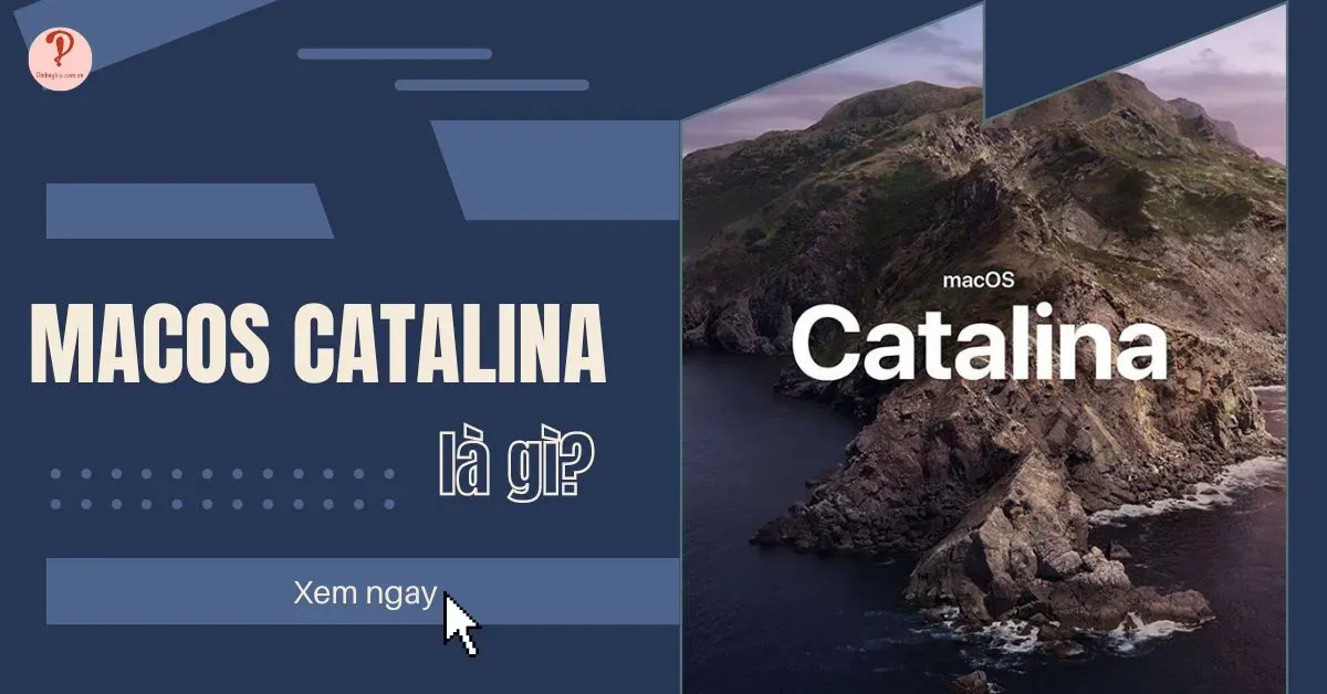 macOS Catalina là gì? 7 Tính năng chính trên macOS Catalina?