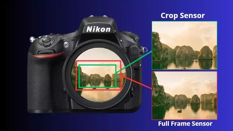 Máy ảnh crop là gì? Nên chọn máy ảnh crop hay full frame?