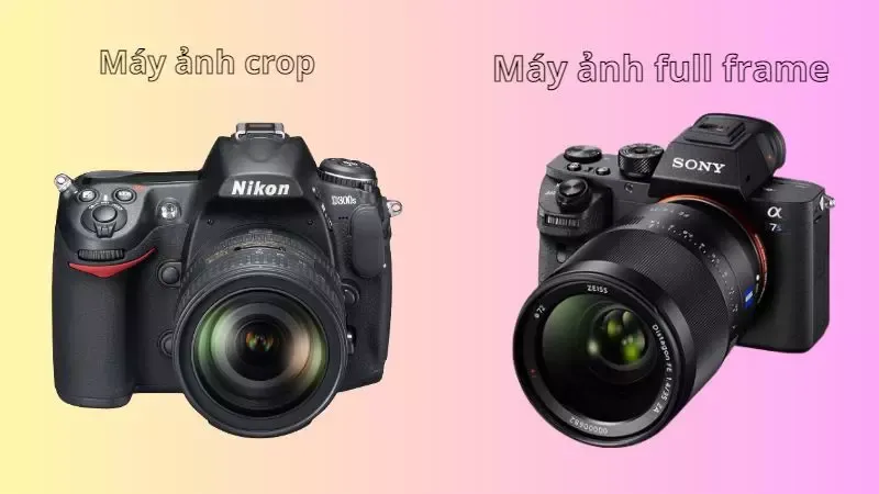 Máy ảnh crop là gì? Nên chọn máy ảnh crop hay full frame?