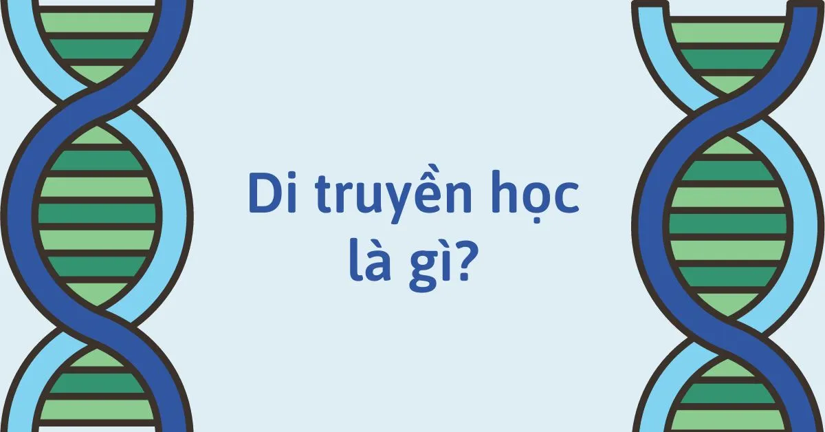 Menden và di truyền học, ý nghĩa của di truyền học