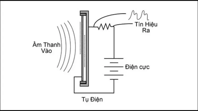 Micro Condenser là gì? Đặc điểm nổi bật của Micro Condenser