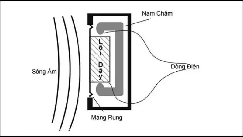 Micro Condenser là gì? Đặc điểm nổi bật của Micro Condenser