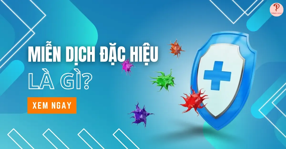 Miễn dịch đặc hiệu là gì? Đặc điểm, vai trò và cơ chế hoạt động