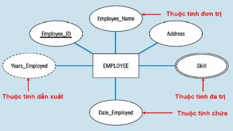 Mô hình erd là gì? Cách thiết kế và ứng dụng mô hình ERD