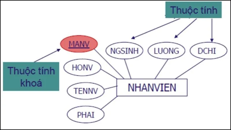 Mô hình erd là gì? Cách thiết kế và ứng dụng mô hình ERD