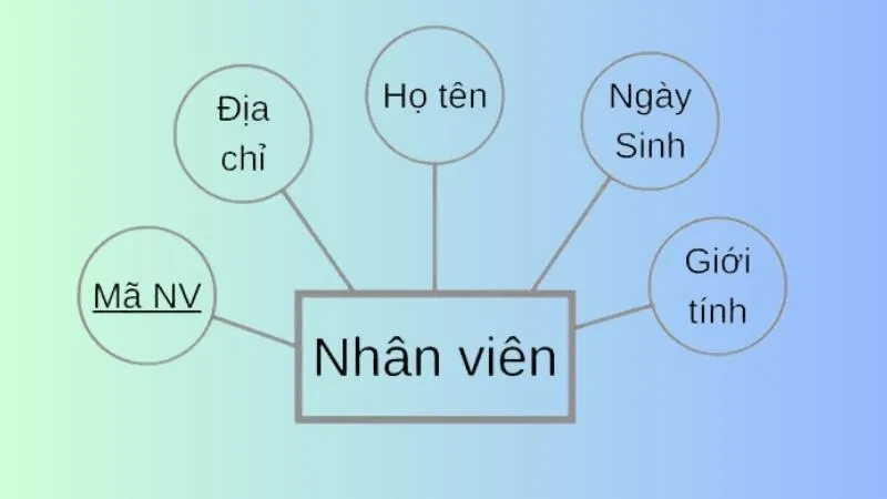 Mô hình erd là gì? Cách thiết kế và ứng dụng mô hình ERD