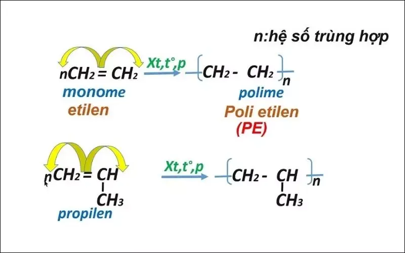 Monome là gì? Monome thường gặp, điều chế polime từ monome