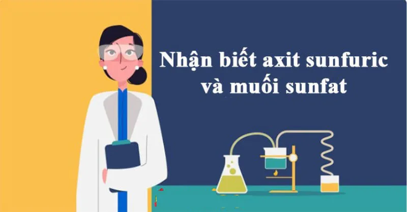 Một số axit quan trọng: Lý thuyết, các dạng bài tập và cách giải