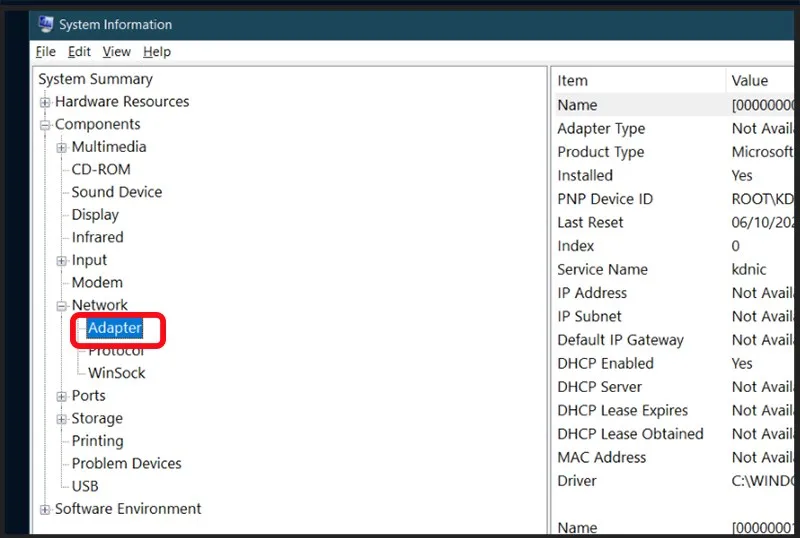 Network Adapter là gì? Cách xem cài đặt mạng chính xác chi tiết