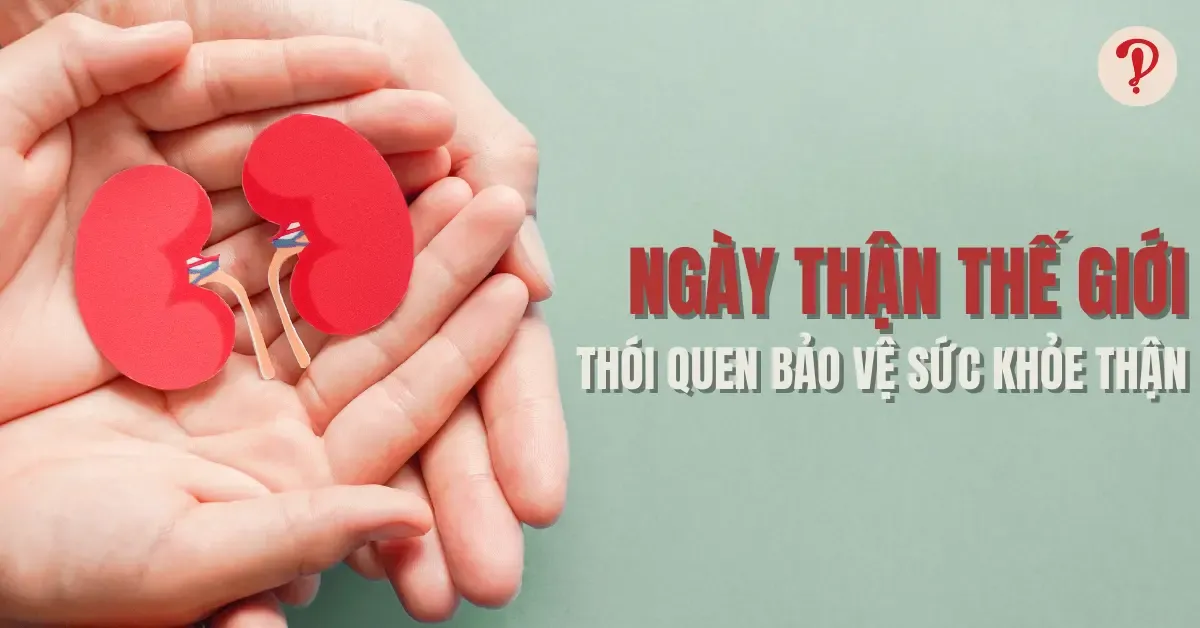 Ngày Thận thế giới là ngày gì? Các thói quen lành mạnh giúp bảo vệ sức khỏe thận