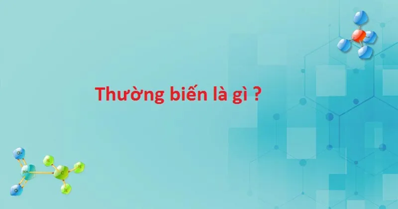 Nguyên nhân, Đặc điểm, Ý nghĩa và Vai trò của thường biến là gì?