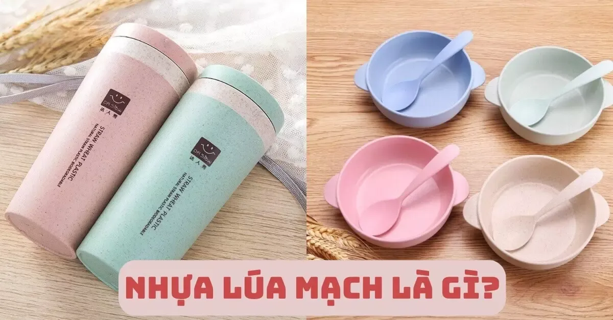 Nhựa lúa mạch là gì? Ưu nhược điểm, lợi ích cần biết