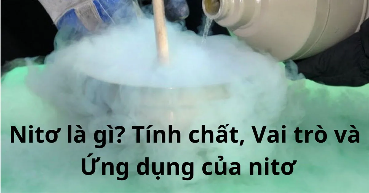 Nitơ là gì? Tính chất, Vai trò và Ứng dụng của nitơ