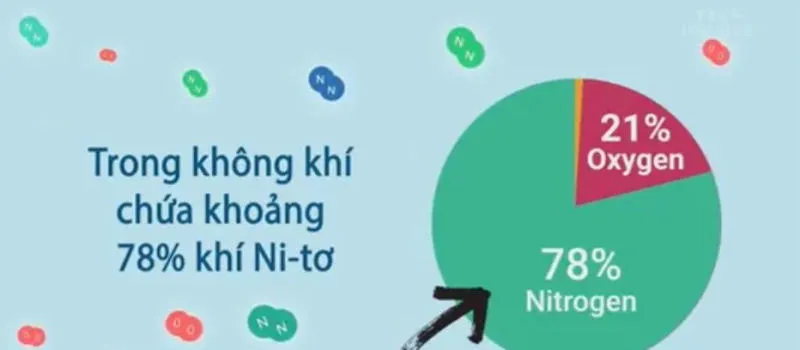 Nitơ là gì? Tính chất, Vai trò và Ứng dụng của nitơ