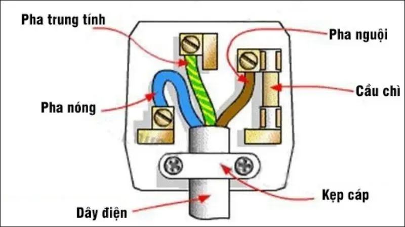 Ổ cắm điện 3 chấu là gì? Cách đấu ổ cắm điện 3 chấu tại nhà