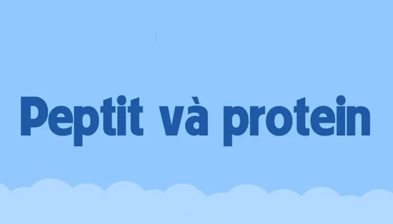 Oligopeptit là gì? Lý thuyết và Các dạng bài tập về Oligopeptit