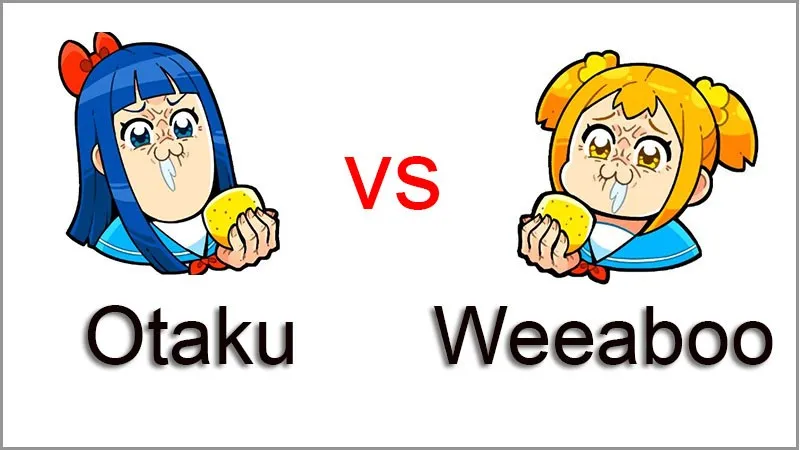 Otaku, Weeboo (Wibu) là gì? Sự khác nhau giữa Weeboo và Otaku