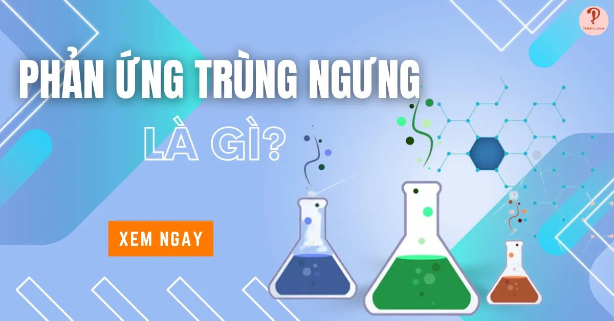 Phản ứng trùng ngưng là gì? Định nghĩa, phân loại và bài tập ví dụ