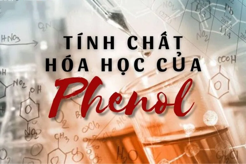 Phenol là gì? Tính chất, Cách điều chế và Ứng dụng của Phenol