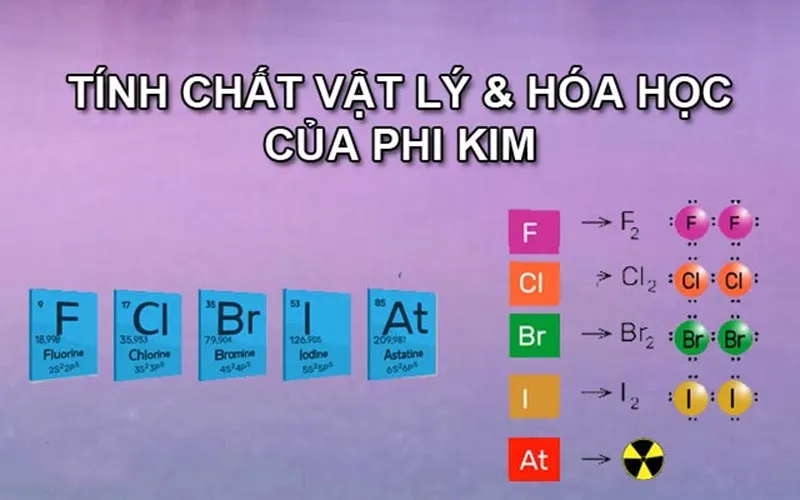 Phi kim là gì? Tính chất của phi kim