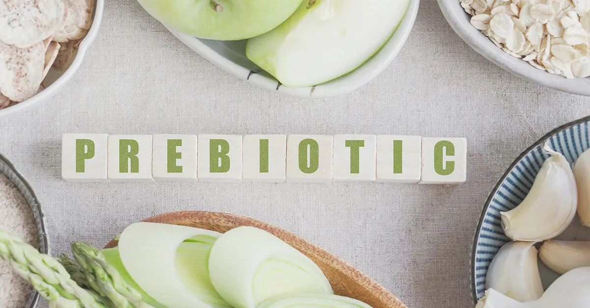 Prebiotic là gì? Lợi ích của prebiotic đem lại cho hệ tiêu hóa