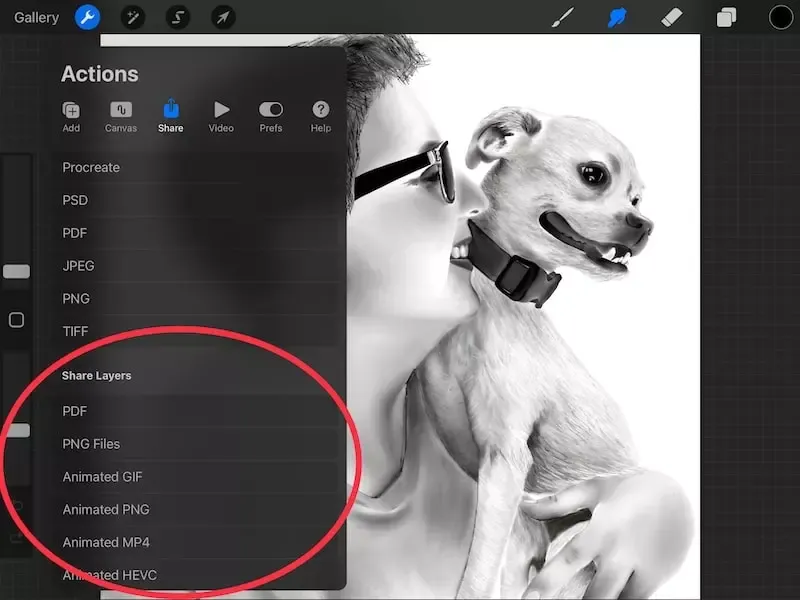 Procreate là gì? 8 điểm đặc biệt của phần mềm Procreate