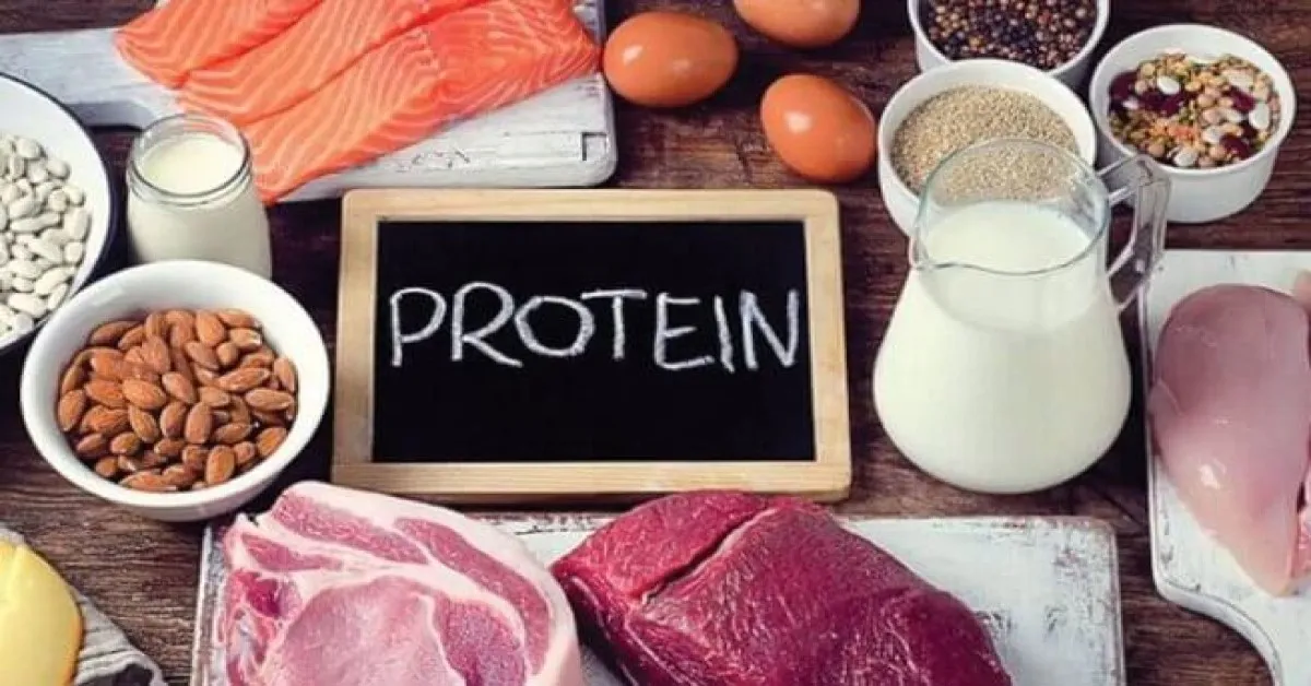 Protein màng là gì? Cơ chế hoạt động và chức năng của protein màng